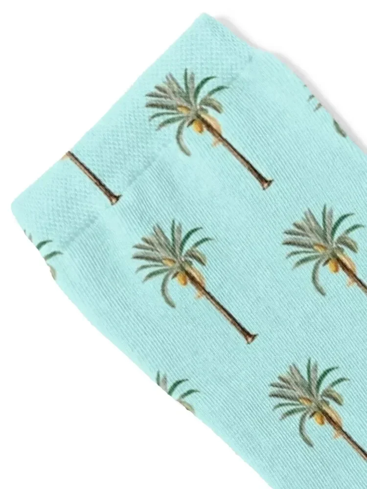 Palm Tree Socks professional running valentine gift ideas Socks For Women Men's