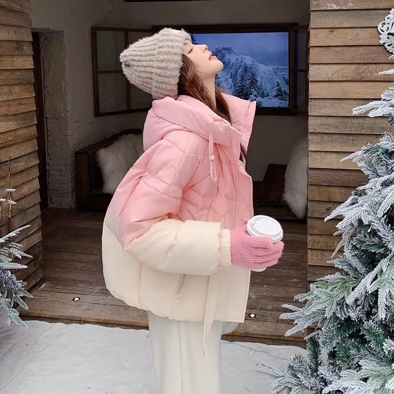 Pink Gradient Hooded Cotton Jacket For Women In Winter For New Short Style Small And Stylish Design Super Good-Looking Jacket