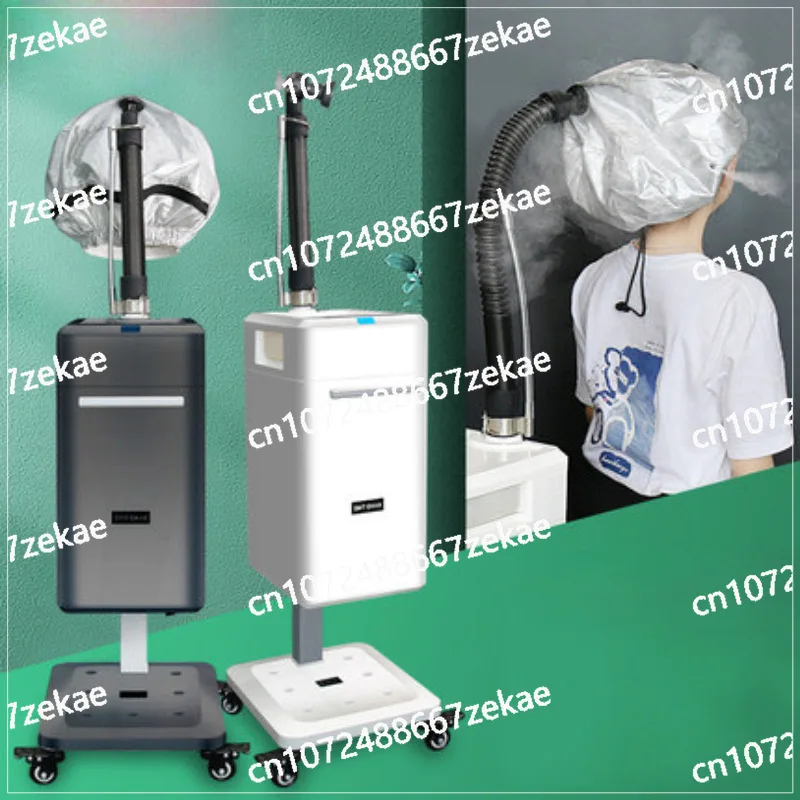 Top Supplier Professional Hair Care SPA Treatment Micromist Steamer Soft Cap Bonnet Ionic Micro Mist Machine