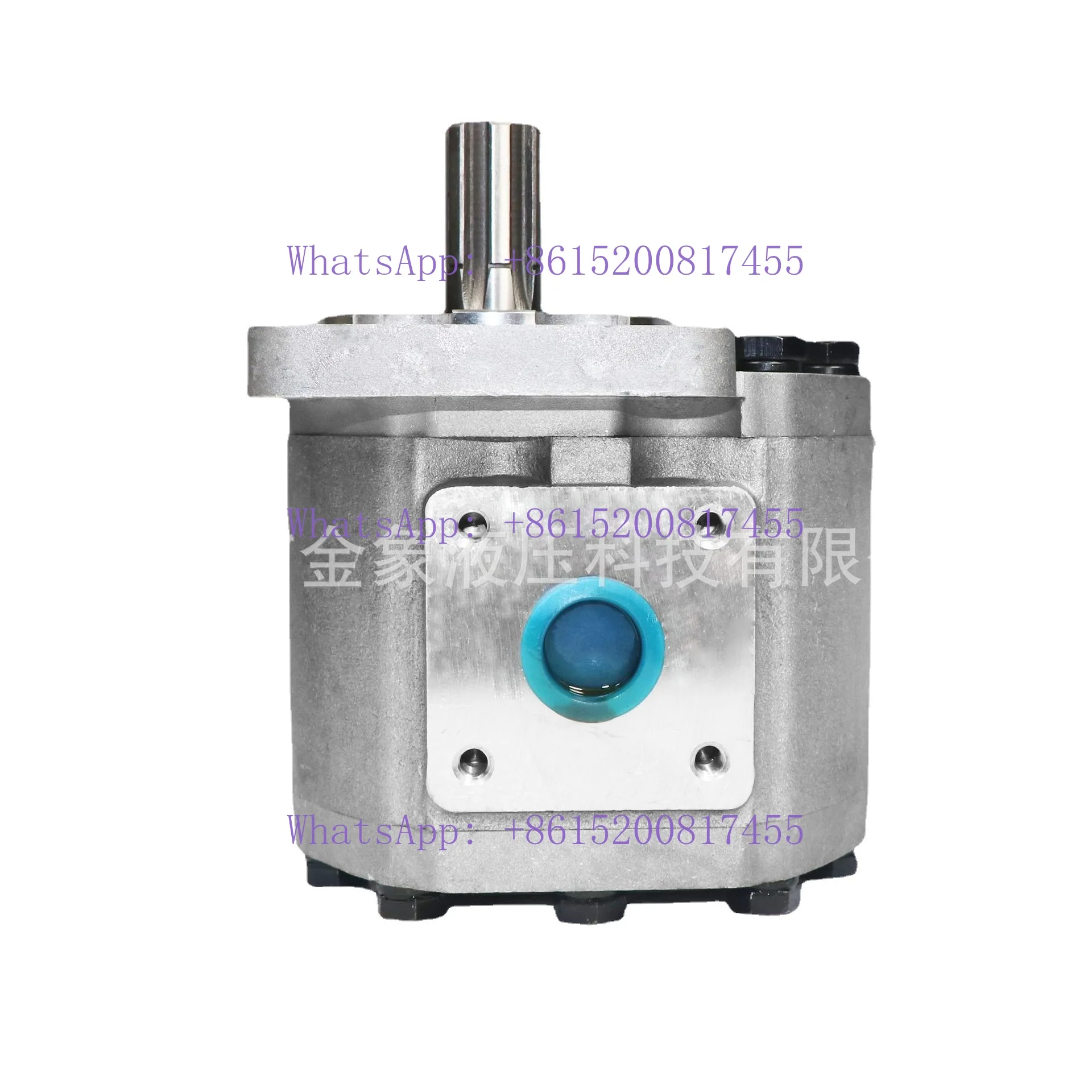 

Hydraulic gear pump CBT-E/CBT-F532/550/563/580/590/5100 flower left flower right side out