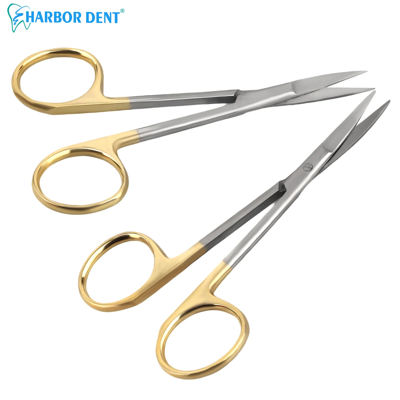 Stainless Steel Den…