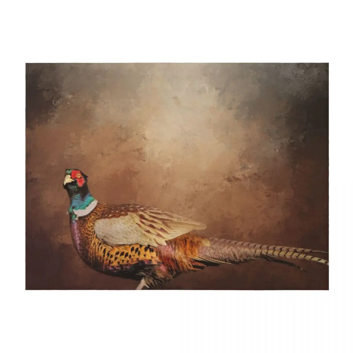 

Handsome Common Pheasant Throw Blanket warm for winter cosplay anime Tourist christmas gifts Blankets