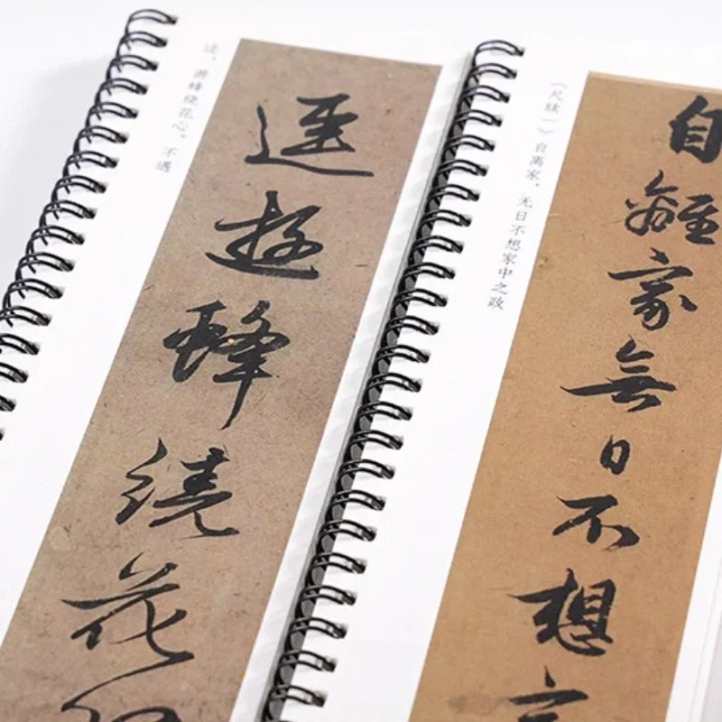 Running Script Calligraphy Copybook Collected Works of Zhao Mengfu Enlarge Chinese Characters Close-range Tracing Practice Cards