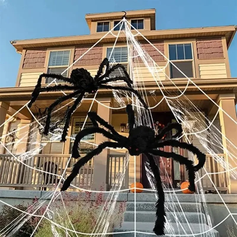 Halloween Spider We… - image