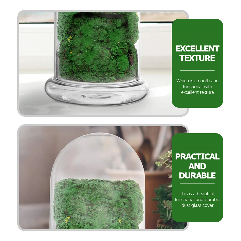 

2Pcs Mini Glass Dome Transparent Cover for Flower Preservation Cake Protection Display Clear Dust-Proof Multi-Purpose Glass