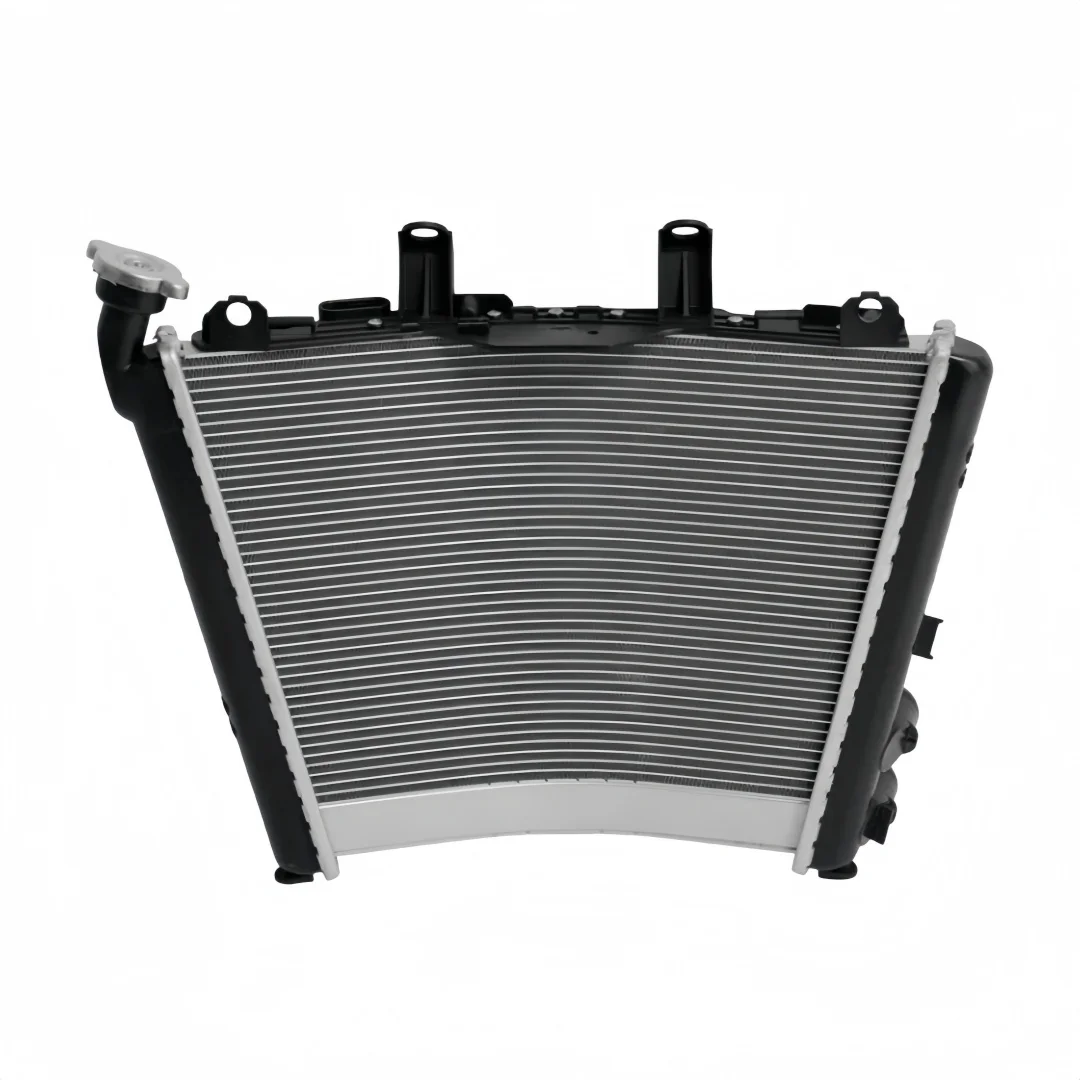 Radiator Cooling Engine Cooler for BMW S1000R S1000XR M1000RR S1000RR 2019-2025 2020 2021 2022 2023 Motorcycle Cooling System