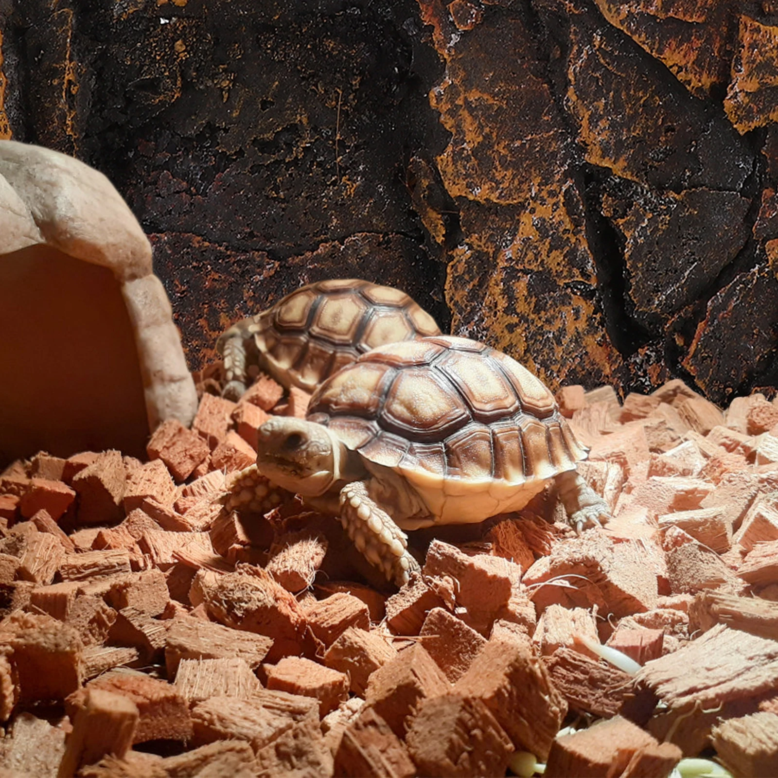 

3D Reptile Tank Background Simulated Rock Texture Reusable Aquarium Terrarium Decorative Board Realistic Climbing Surface