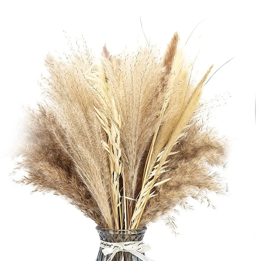 Natural Dried Pampas Grass,65Pcs Large Pampas Grass Decor Tall,Pompous Grass Wedding Flowers,Fluffy Boho Pampas