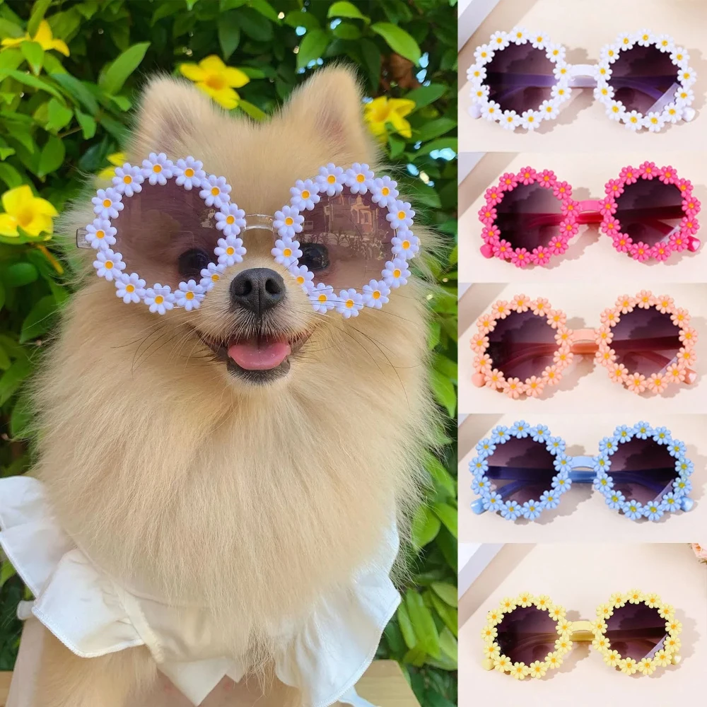Haustierzubehör, Blumen-Sonnenbrille, kreisförmige Rollenspielbrille, Foto-Requisiten, Brille für Katzen und kleine und Paracord-Hundeleine