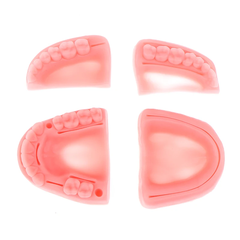 NEW New 4pcs/set Medical suture training module soft gum model food-grade silicone dental model teaching equipment