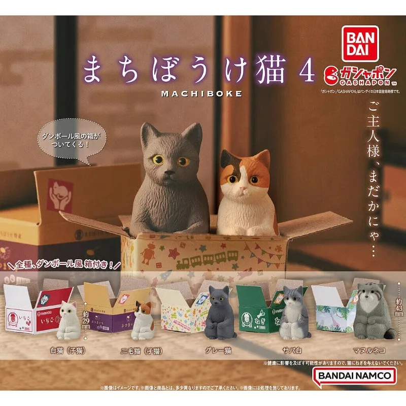 

Original Bandai Gashapon Anime Figurine Cute Sitting Animal Pet Cat Carton Box Action Figure Kawaii Capsule Toys Gift