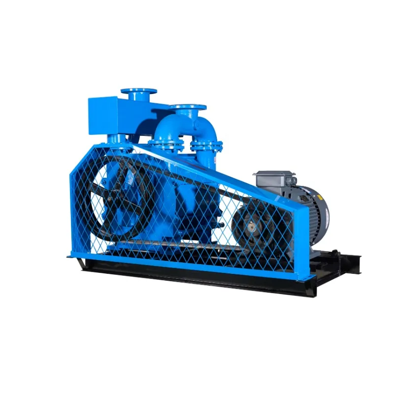 High Pressure Stainless Steel Water Ring Vacuum Pump 2BEC OEM Rotary Pump  for Industrial Use with Customized Support