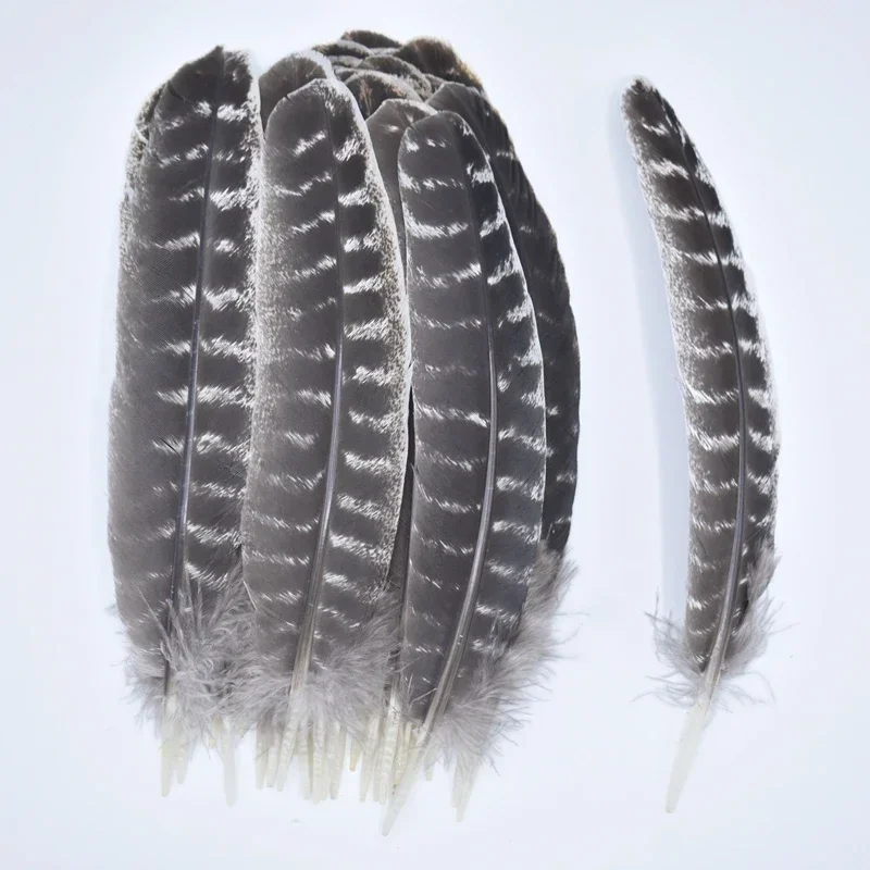 Plumes d'oiseau d'aigle de plumes de dinde naturelles pour l'artisanat, chapeaux de bricolage, accessoires de carnaval, décoration d'Halloween, vente en gros