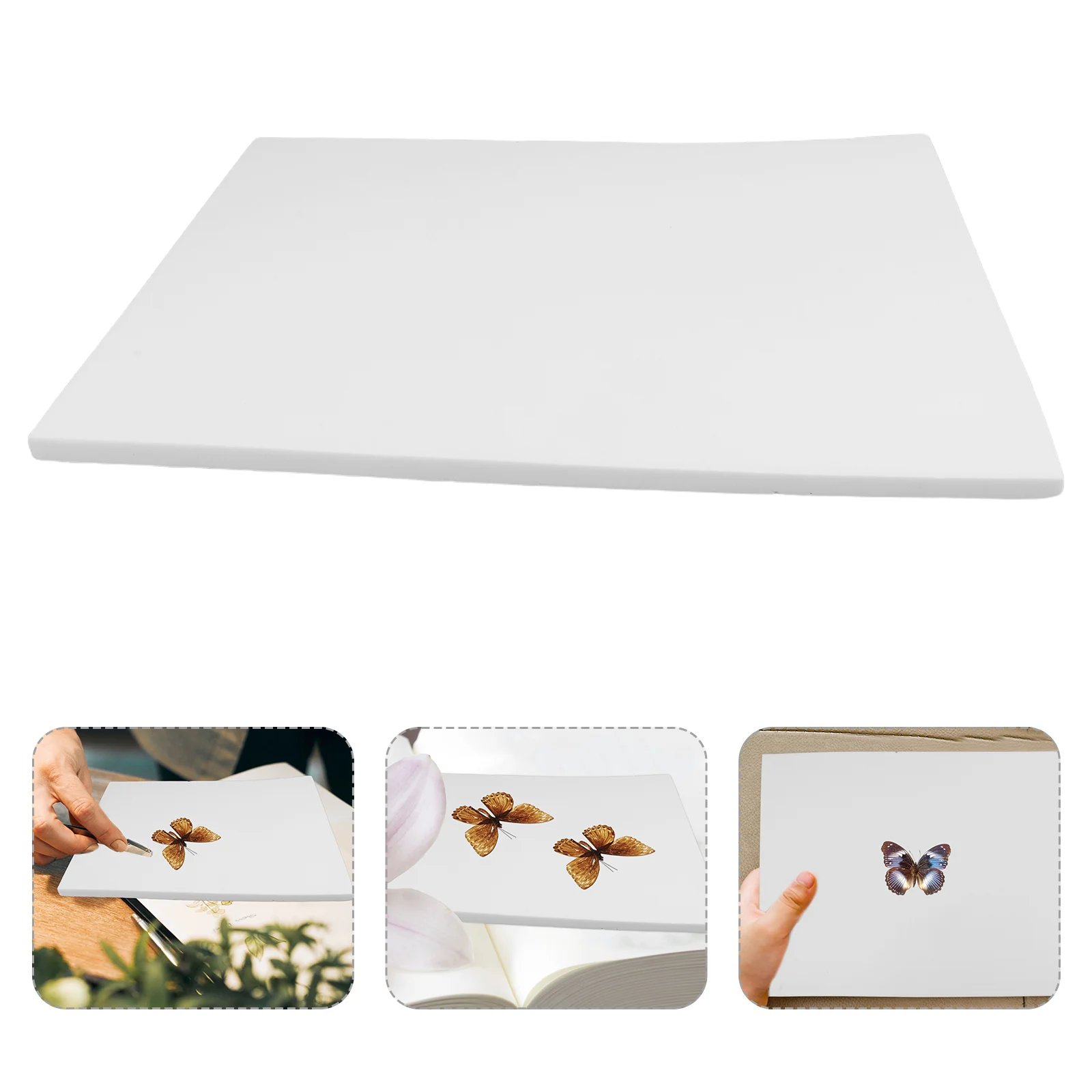 

Specimen Display Pad Butterfly Board Insect Pinning Other Wood Products Making Kit White