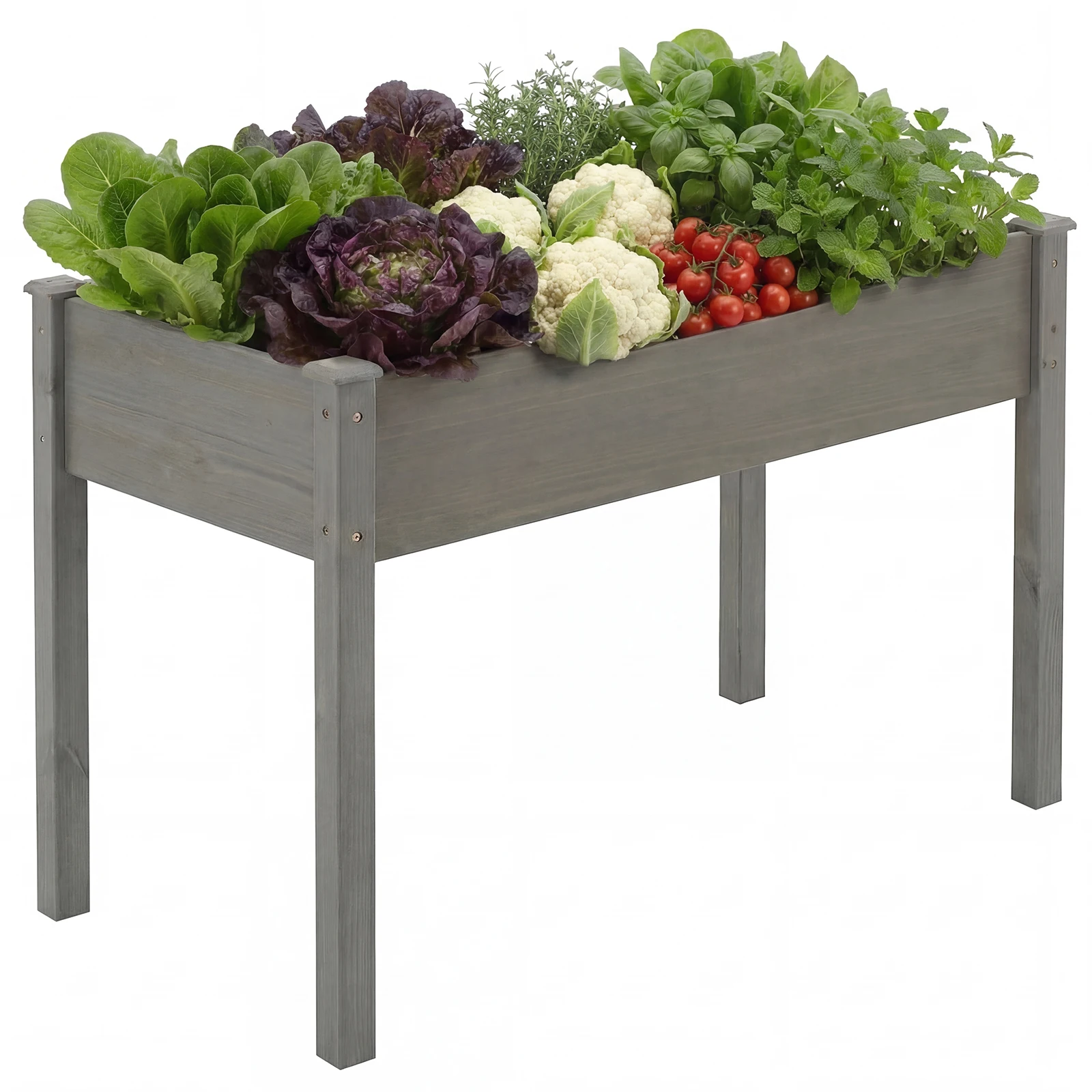 outdoor garden setup