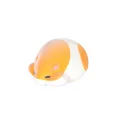 Yellow white hamster