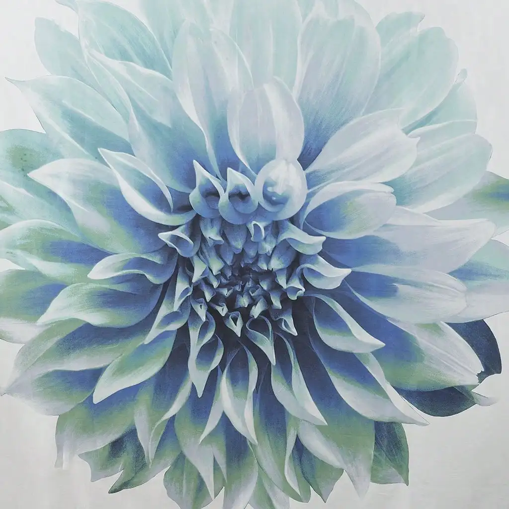 ستارة دش ماديسون بارك نورا، تصميم مطبوع عليه زهور واقعي كبير الحجم، ديكور حمام حديث، قابل للغسل في الغسالة #3