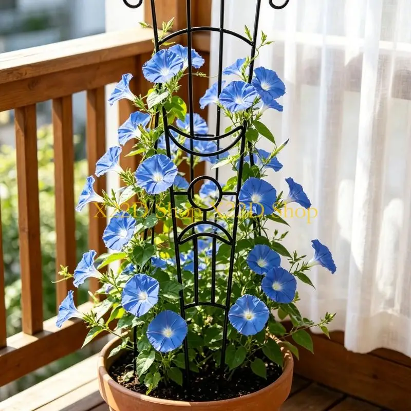 X22D Space Saving Adjustable Moon Trellis For Climbing Plant Iron Support Frame Tall