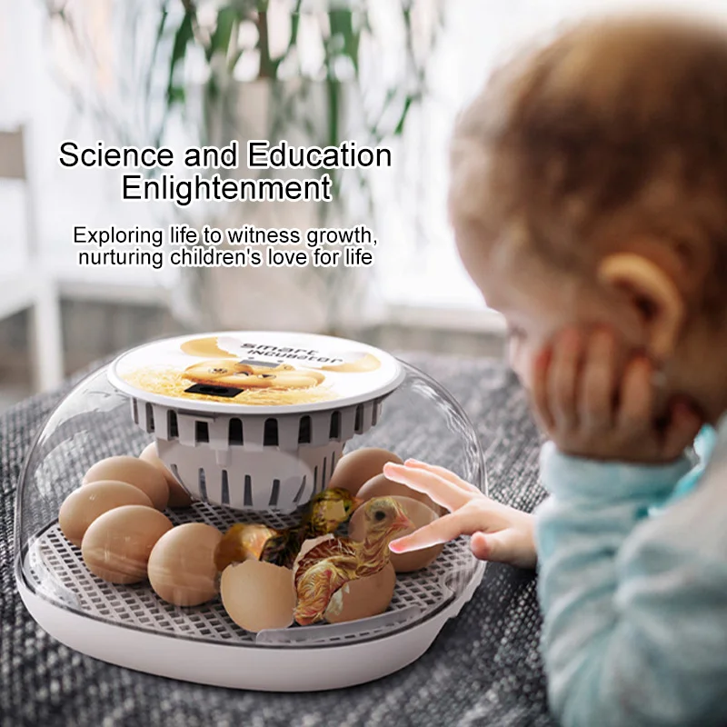 12 Egg Automatic Smart Incubator Digital Control Turner Poultry Hatcher for Chicken Duck Home Use Even Heating Transparent Cover