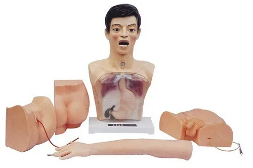 

Medical Education PVC Material New Basic Nursing Model for Practice Operation BIX-H4