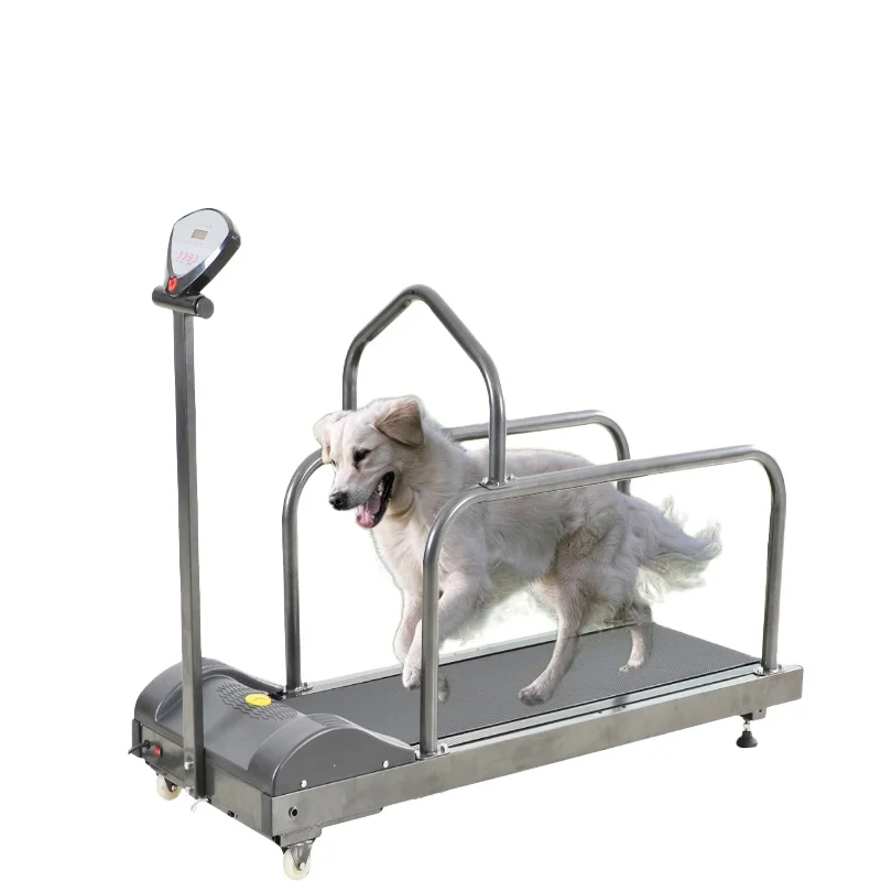 

HC-R027 Dog Treadmill Walking Machine Pets for Training