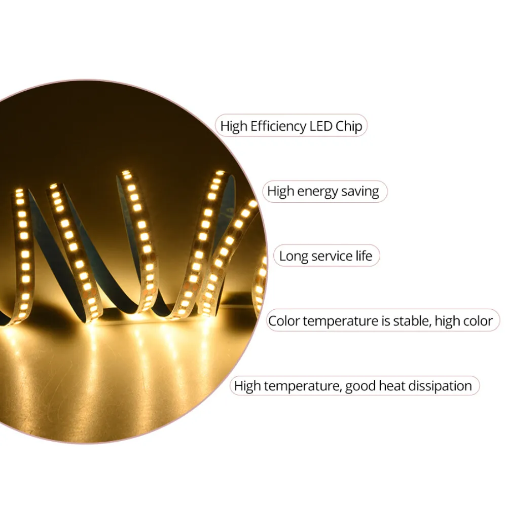 

24V Strip Light SMD 2835 120LED/M 10M High Brightness No Waterproof Room Decorative Lights House Party Lights Hotel Lighting