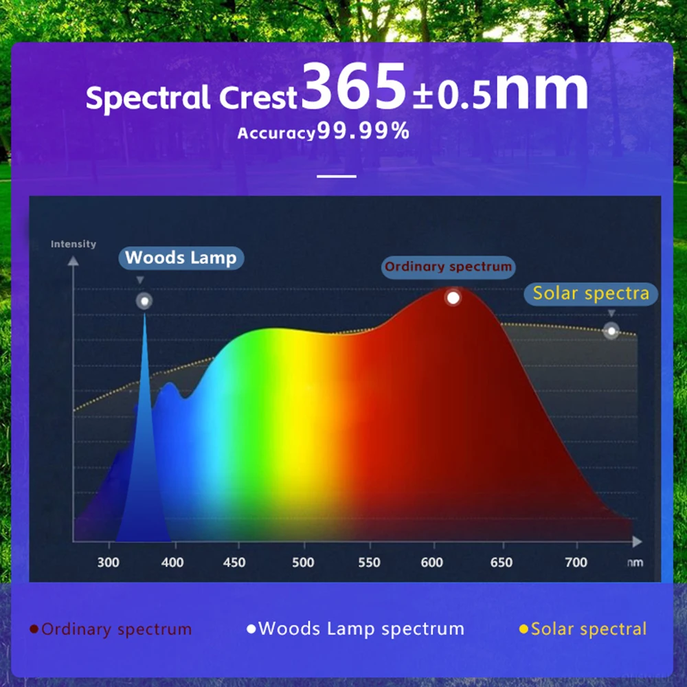 Lampe en bois analyseur de peau pour la peau loupe UV pour la beauté test du visage lampe en bois lumière analyse de la peau détection soins de la peau