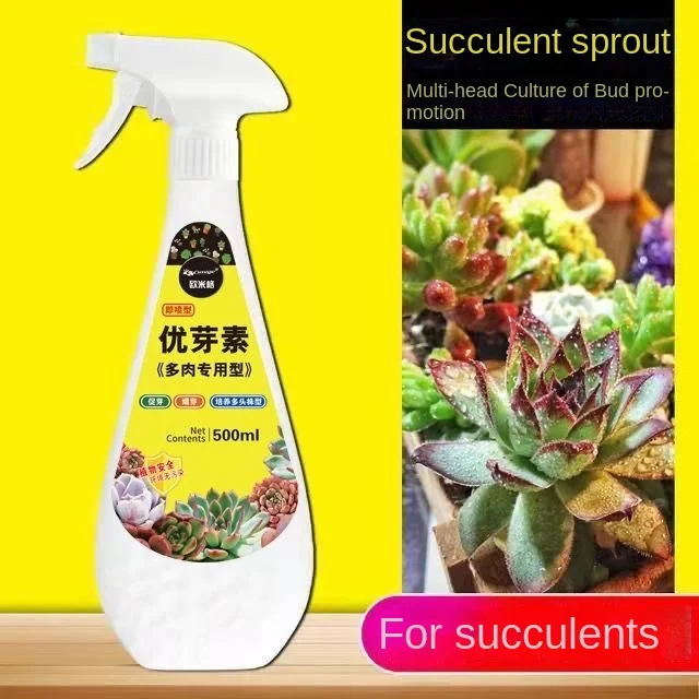 Succulent plant primordial blastins promoting budding blastins culture multi plant type nutrient solution 500ml