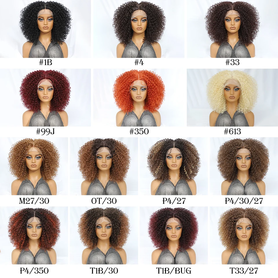 Parrucca anteriore in pizzo Parrucche sintetiche ricci crespi da donna Rosa Bionda Viola Blu Nero Marrone Parrucca anteriore in pizzo HD per donna africana 14 pollici