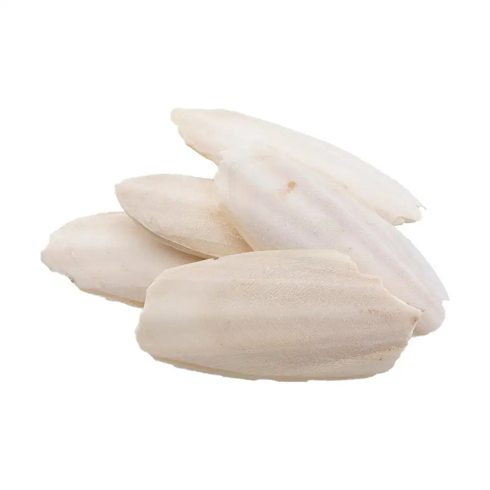 Natürliches Kaulquappenknochen-Kauspielzeug für Papageien, Wellensittiche, Hamster und Kleintiere, zum Zähneputzen, Kalziumergänzung, Vogelzubehör, gesund – Detail 12