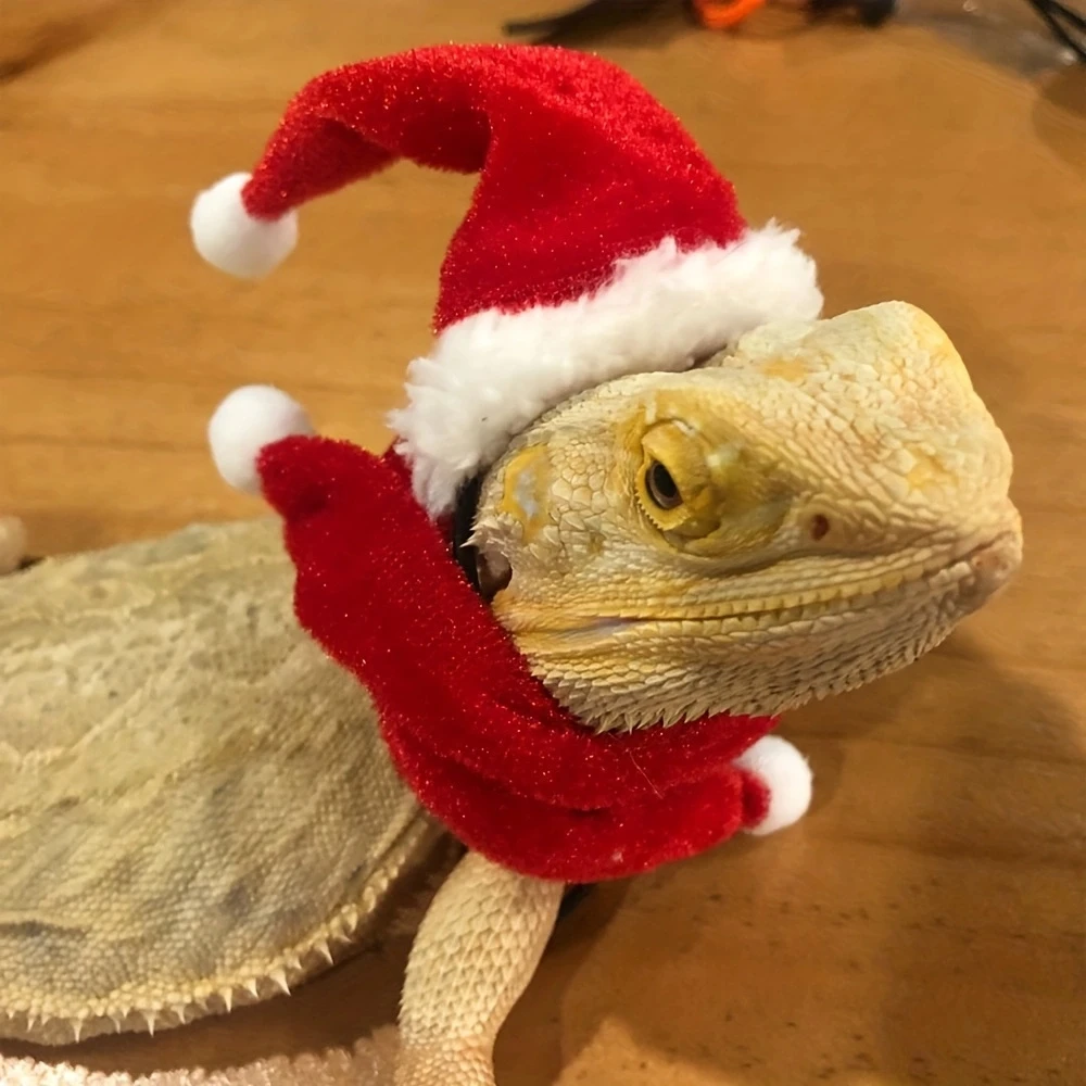 2pcs Lizard Christmas Hat And Climbing Pet Scarf, Reptile Headwear Costume