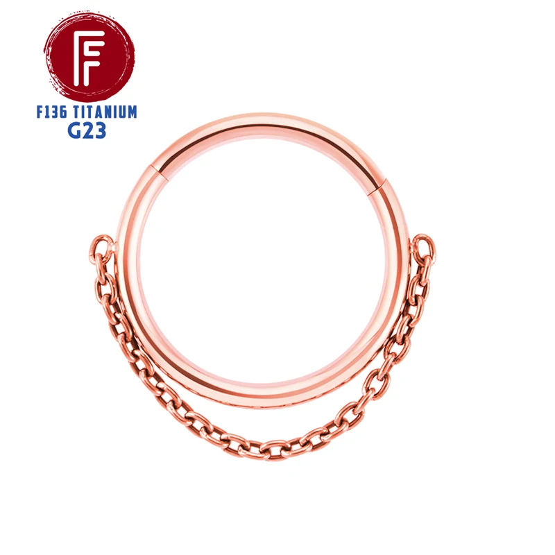 Women's Titanium Hinge Segment Nose Ring with CZ, Cartilage Piercing