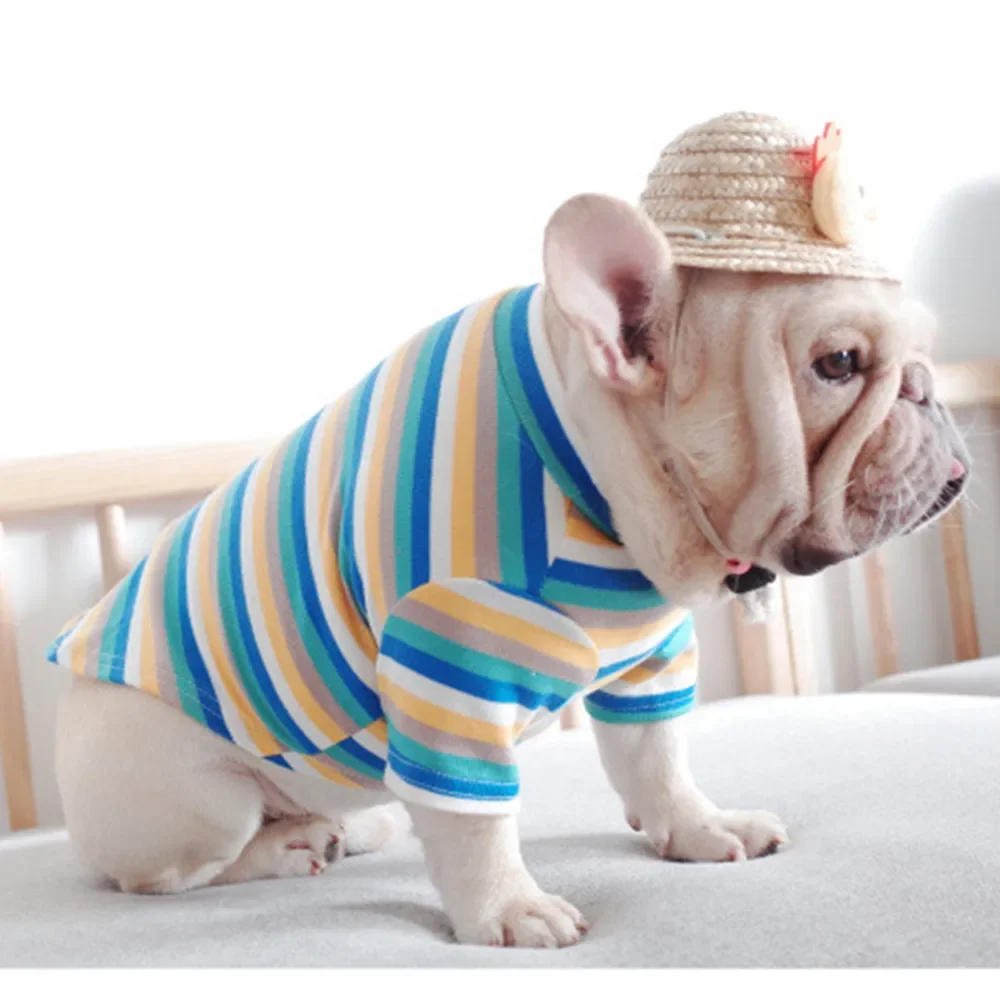 Warm Sweater Jacket Coat Small Dog Pet Clothes Stripe Base Shirt High Collar Puppy Clothes Outfit Suit Apparel pet supplies