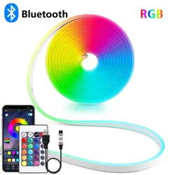 DC5V USB RGB Neon LED Şerit Işık 1/2/3/5M IP65 Su Geçirmez Neon Şerit Bluetooth Uygulaması ve Neon Dekorasyon Işığı Için Uzaktan Kumanda