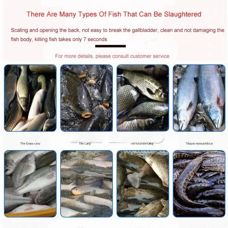 Automatic Fish Fillet Machine High Efficiency Salmon Trout Cutter Equipment for Fish Cleaning And Gutting