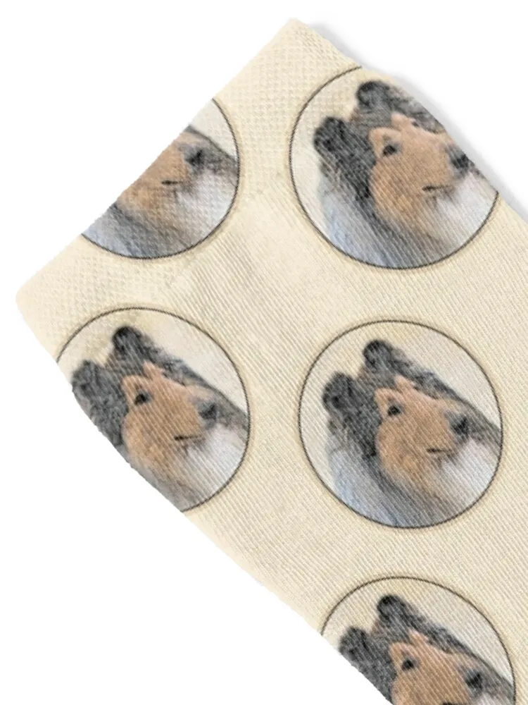 Collie (Rough) Socks Lots Men's sports and leisure hiking Socks For Girls Men's