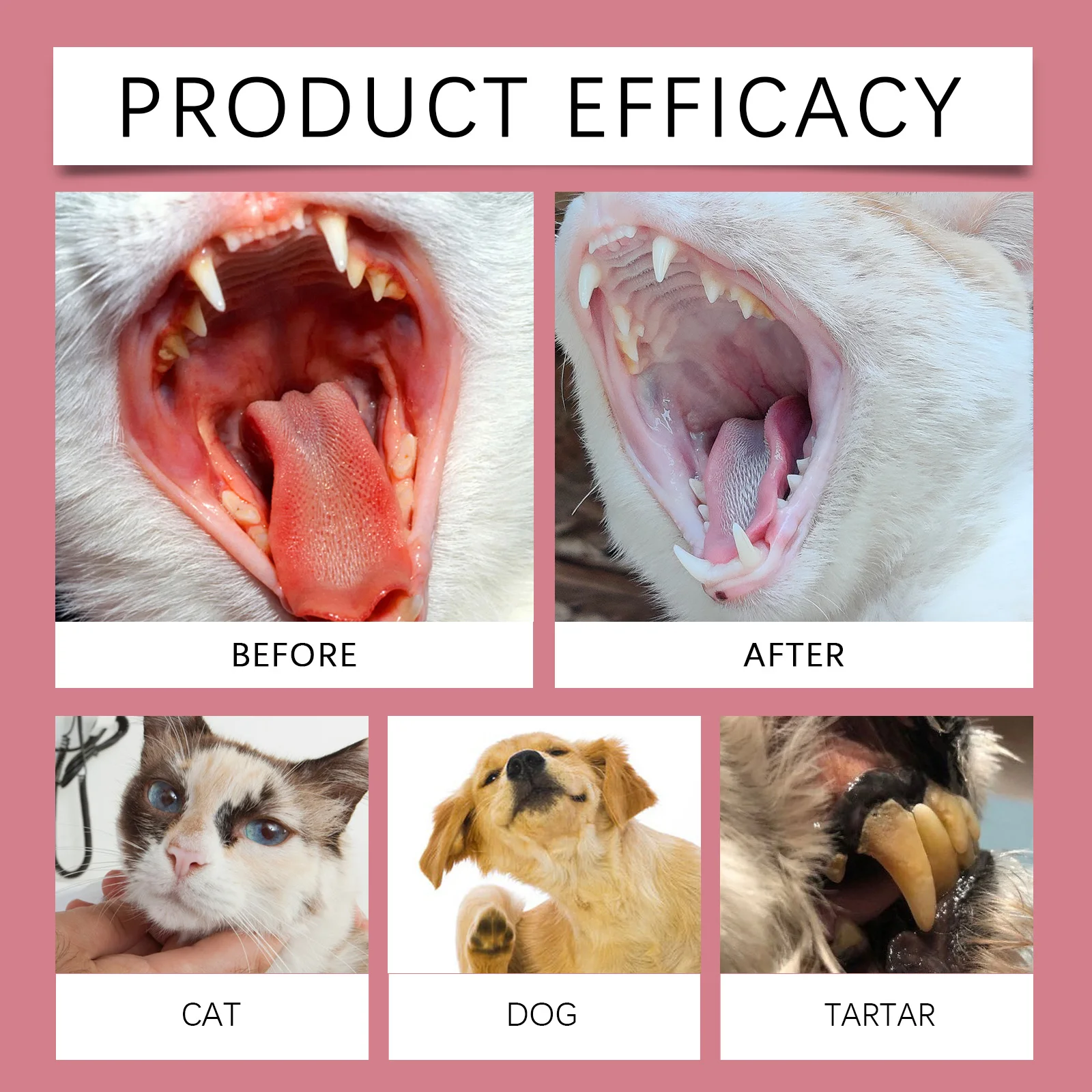 Pet Oral Spray No-Brush Dental - đánh giá và giá Teeth Whitening Brush