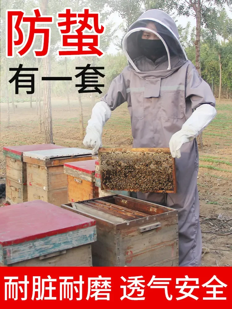 Beekeeping protective clothing, bee tools, bee-proof clothing, special one-piece anti-sting thickened protective cap and gloves