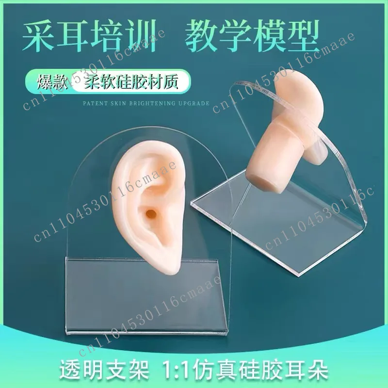 Ear picking practice ear hole model silicone ear canal practice model teaching training model