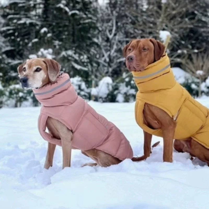 Pet Thickened Cotton Clothes Horse Dog Golden Hair Labrador Dog Clothes Winter Cotton Clothes Big Dog Clothes