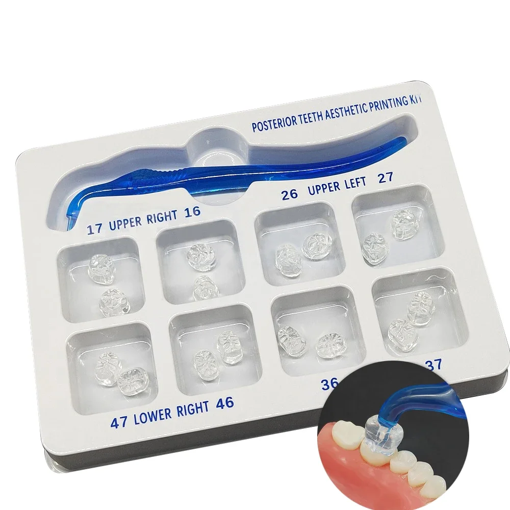 Posteriors Teeth Aesthetics Printing Kit For Light Cure Composites Restorations Filling Tools