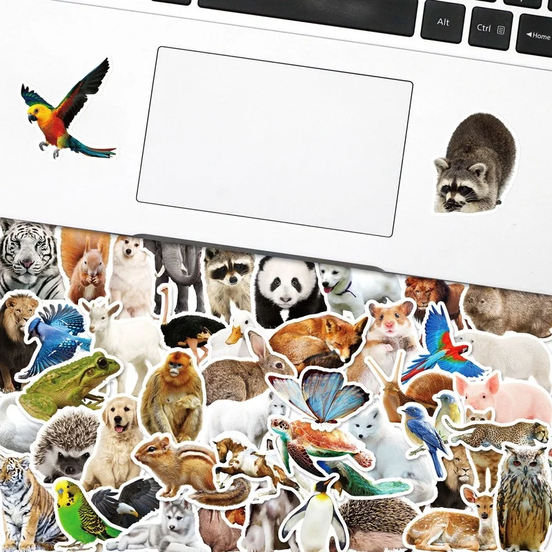 10/25/50pcs PVC Realistic Zoo Jungle Animal Stickers for Teachers School Water Bottle Scrapbook Skateboard Luggage Decals