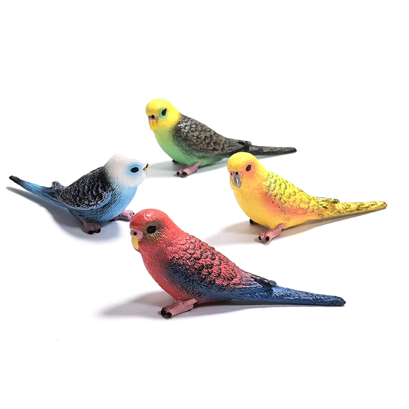 Mini Cute Simulated Parrot Children's Ornament Animal Toys Model PVC Plastic Craft Ornament Zoo Artificial Bird Statue Home image 4