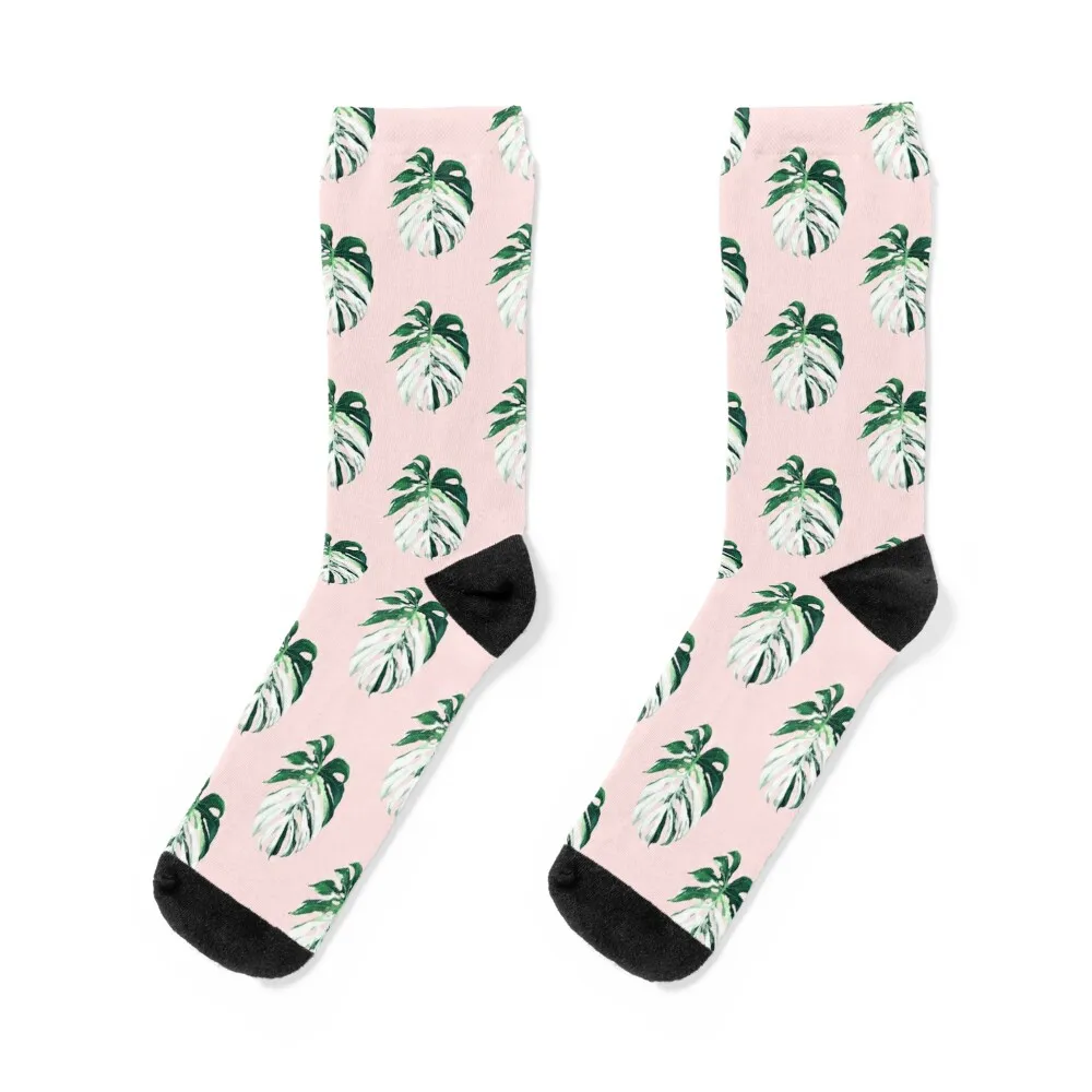 Monstera Albo Borsigiana in Pink Socks new in's moving stockings Stockings fashionable Socks For Girls Men's