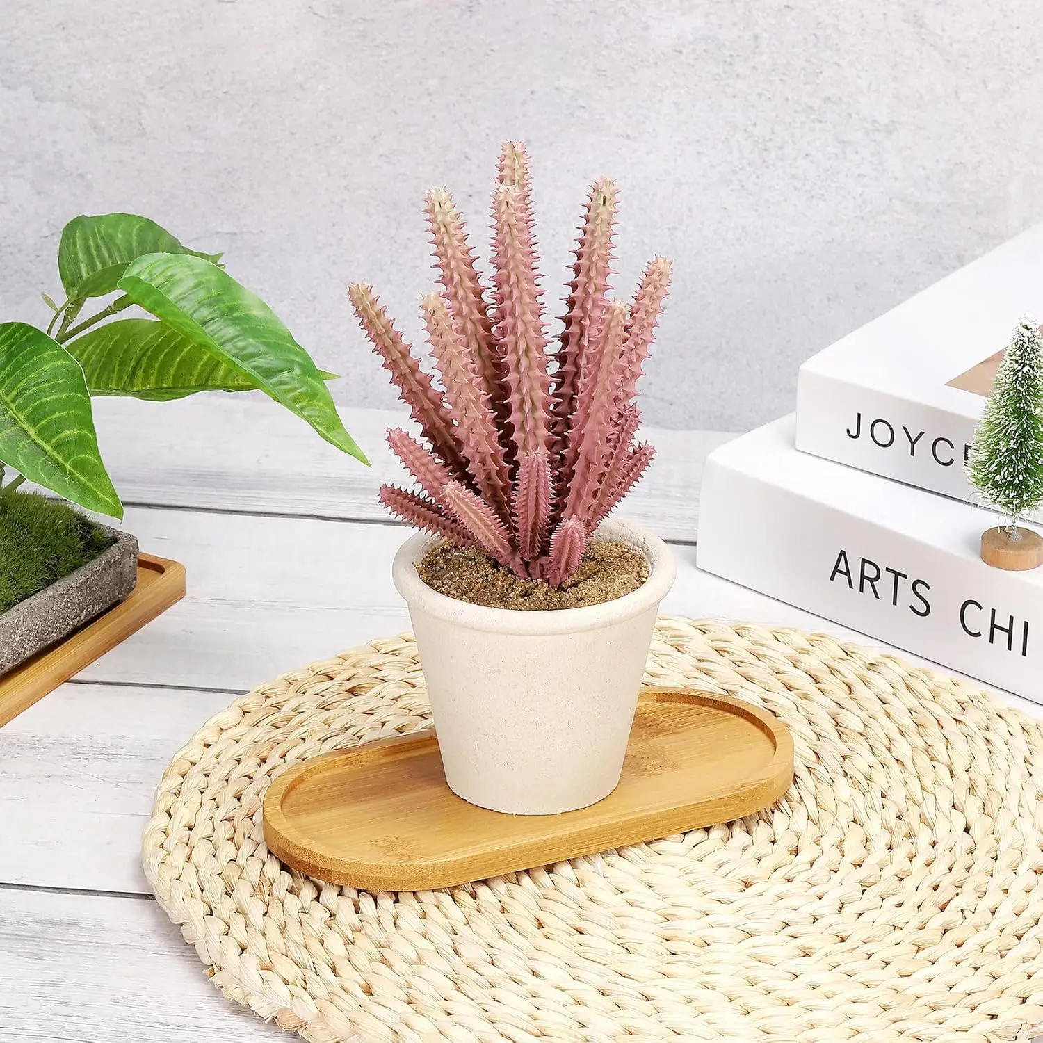 4pcs Bamboo Plant Saucer Oval Drainage Bamboo Plant Drip Tray Coffee  Coaster Plant Pot Tray Bamboo Tray for Most Ceramic Plants - AliExpress 15