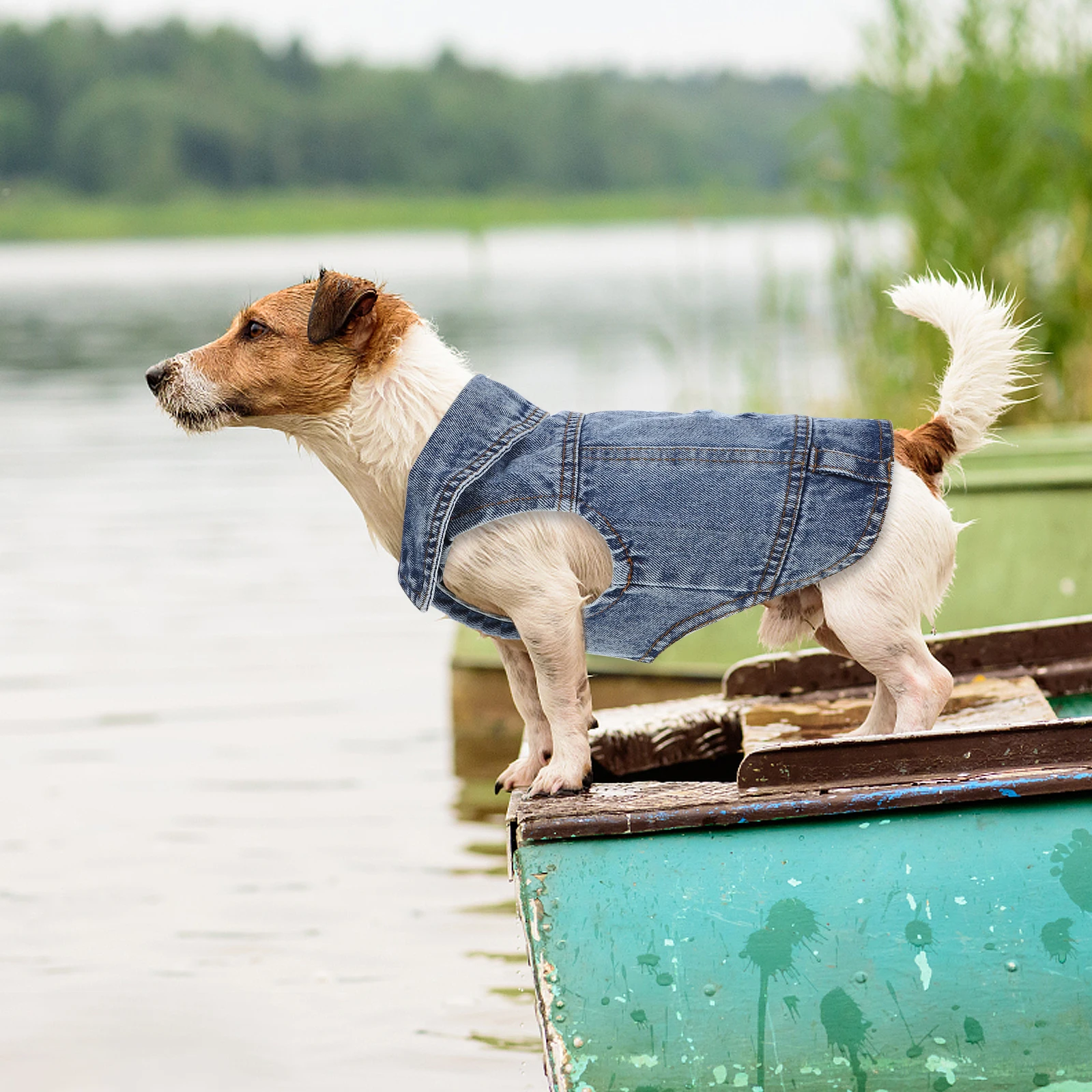 

Pet Dog Jacket Denim Vest Clothing for Dogs Spring Autumn Fashion Retro Jeans Style Lapel Collar Button Closure Dog Clothes Pet
