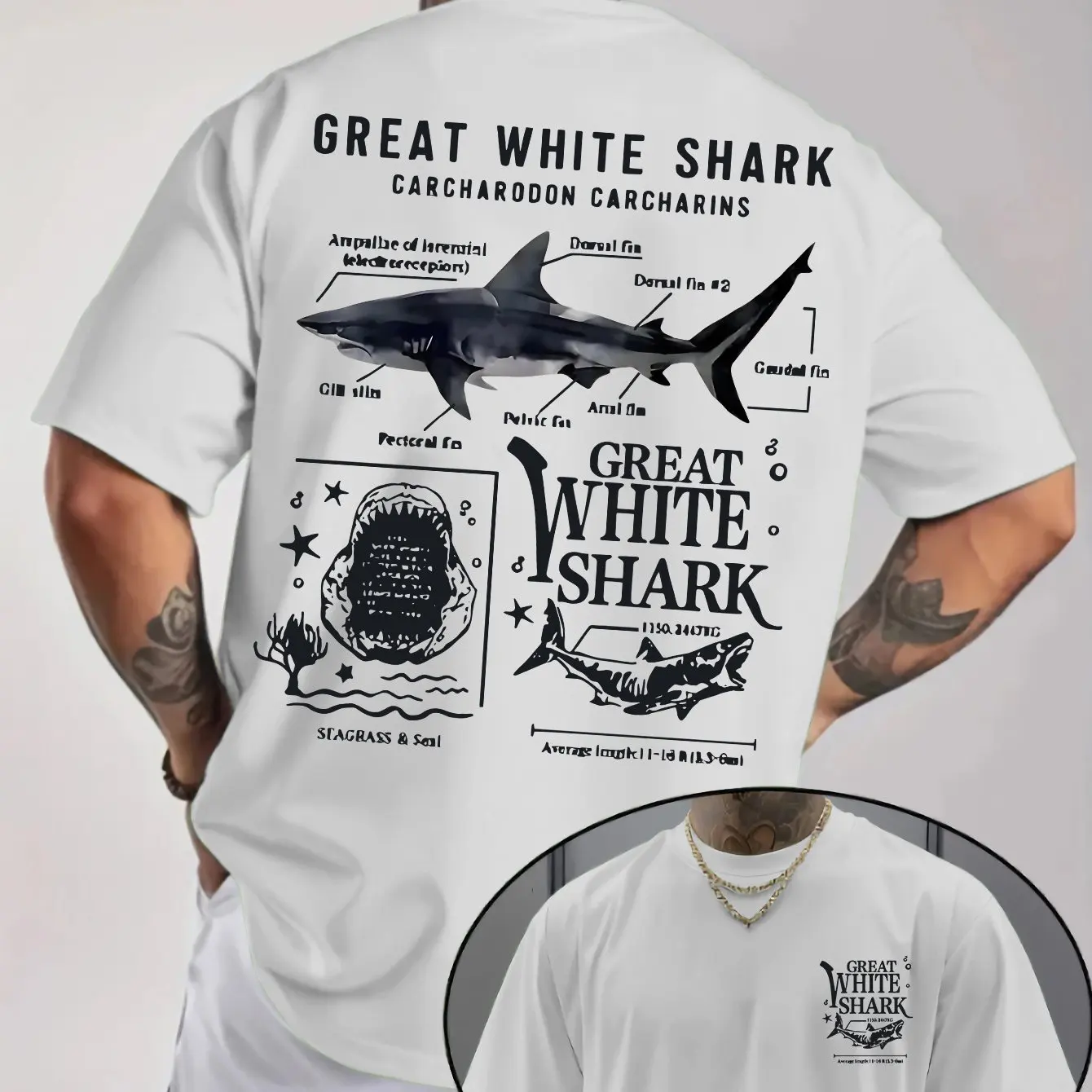 

Men's Casual Graphic T-Shirt Great White Shark Humorous Shark Facts Print Light Beige Regular Fit Round Neck Tee