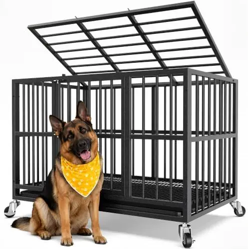 48 Inch Heavy Duty Dog Crate for Large Dogs, Kennel Indoor Outdoor, Black | Steel Escape Proof, Double Door High