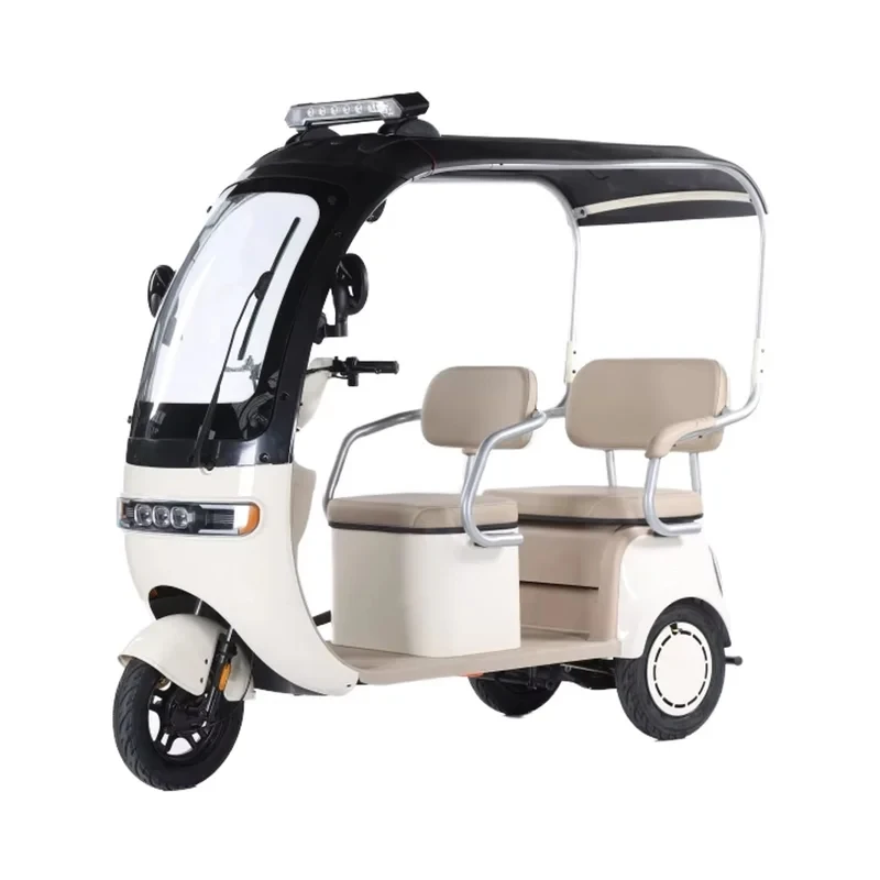 

2025 CE New Tricycle Electric Bike 800w Motor Cycle Mobility Scooter Elderly Europe Vehicles Transportation