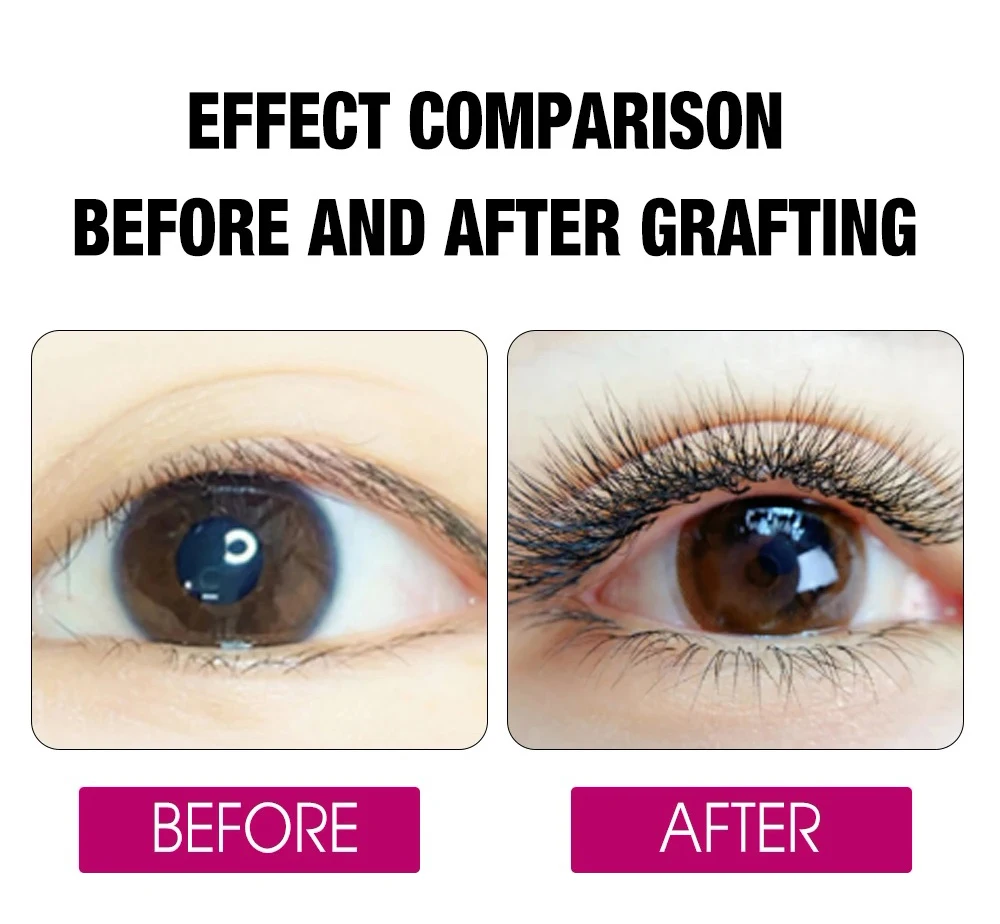 FADVAN 8D W Doppi strati 4D W Forma Ciglia Estensione C/D Naturale Morbido Volume Fan Lash 0.07 C/D Curl Premade Fax Ciglia di visone